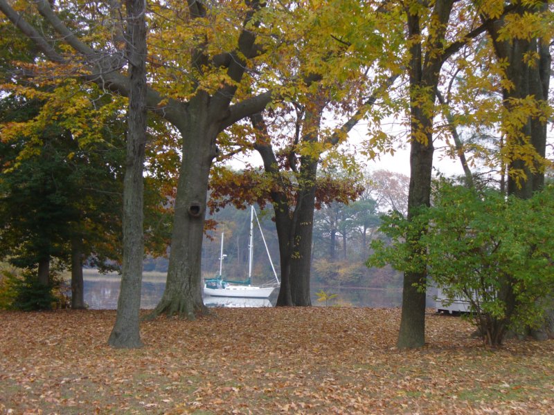 wyeislandboatinthewoods.jpg